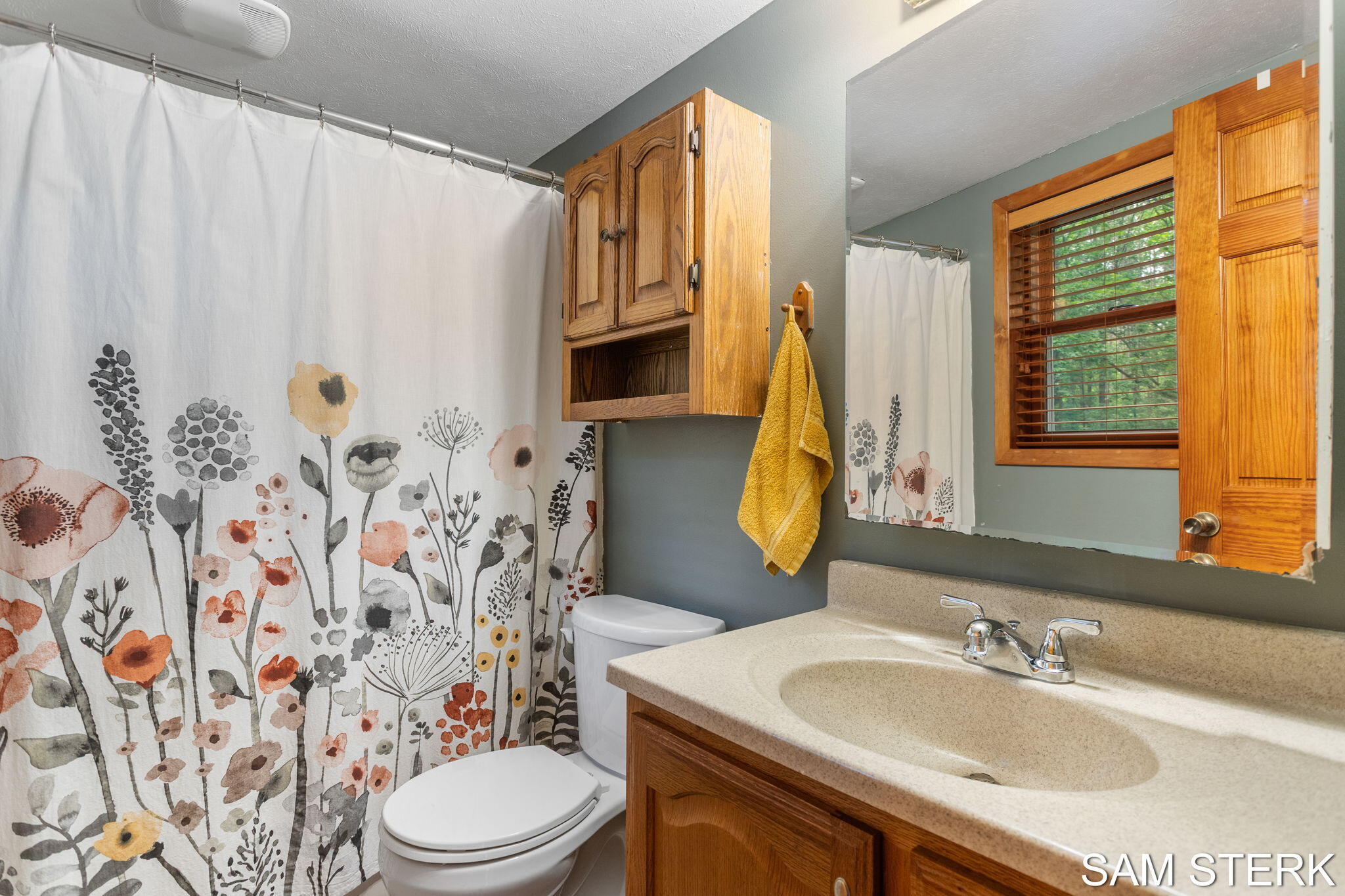 3067 134th Avenue Hopkins MI 49328