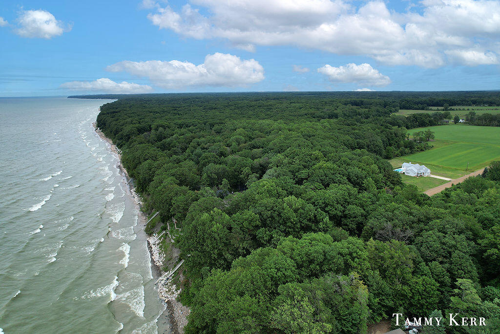 7067 118th Avenue Fennville MI 49408
