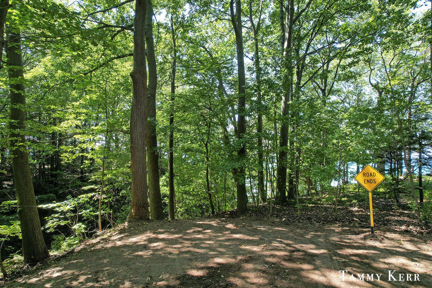 7067 118th Avenue Fennville MI 49408