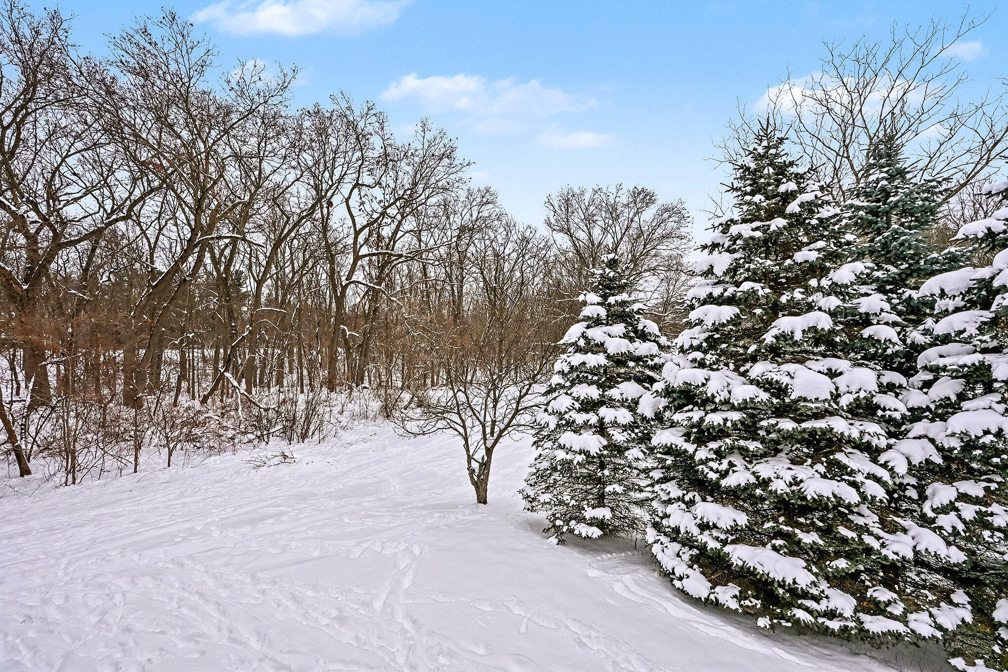 9689 Big Rock Drive Kalamazoo MI 49009