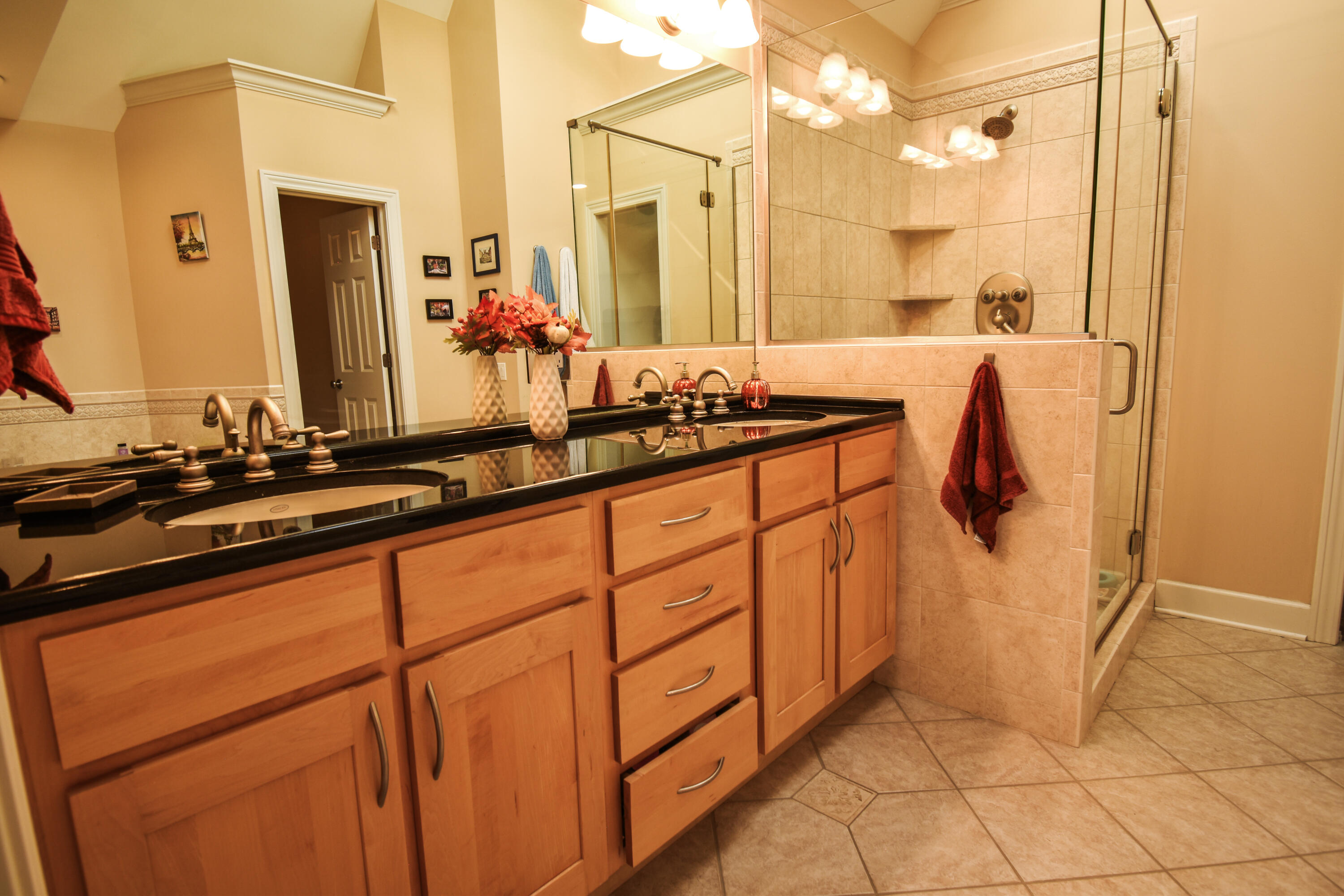 5033 Deerwood Trail Stevensville MI 49127