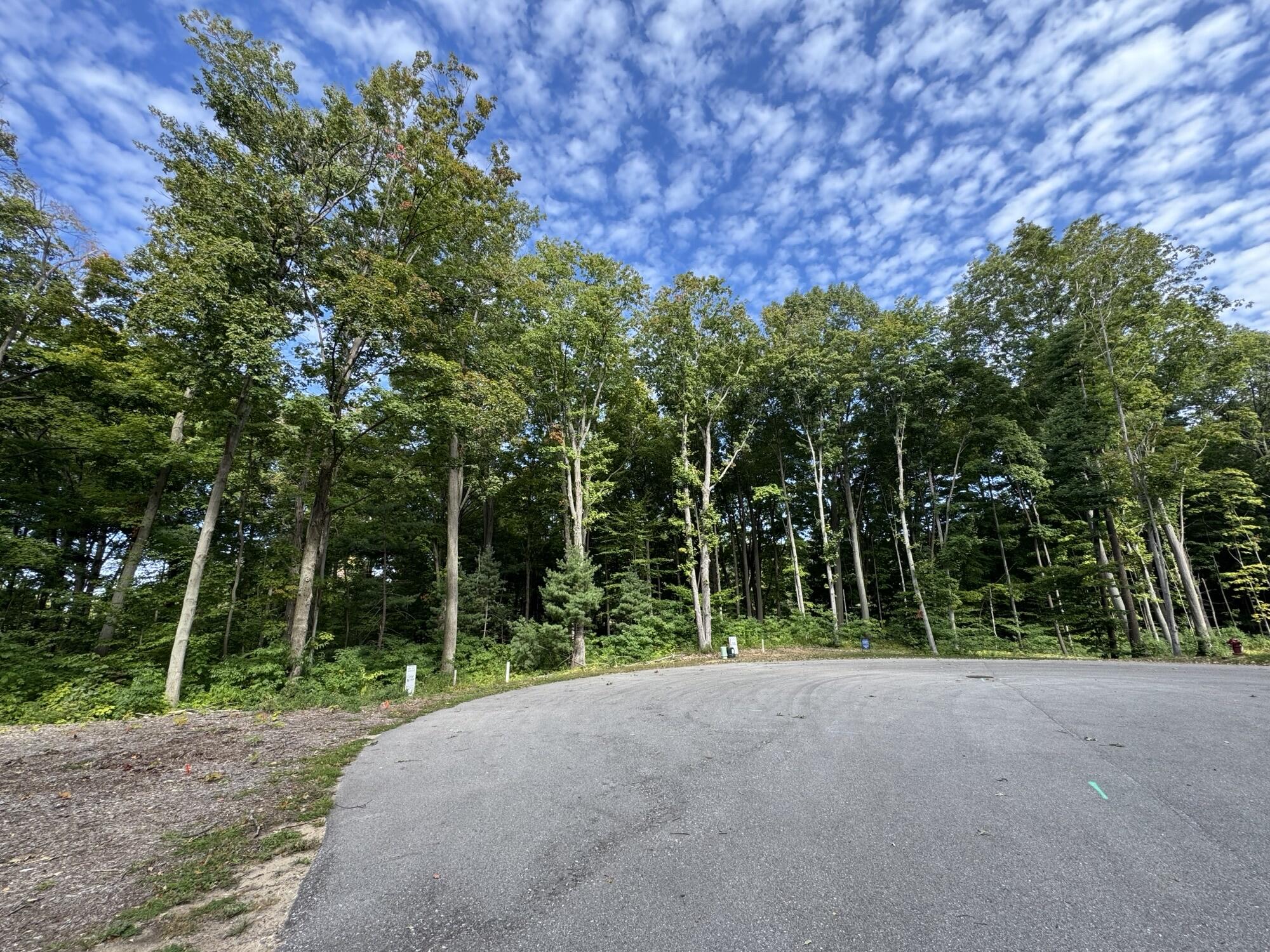 14672 Crest View Court South Haven MI 49090