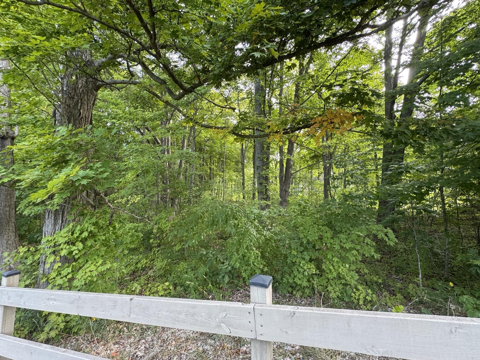 14672 Crest View Court South Haven MI 49090