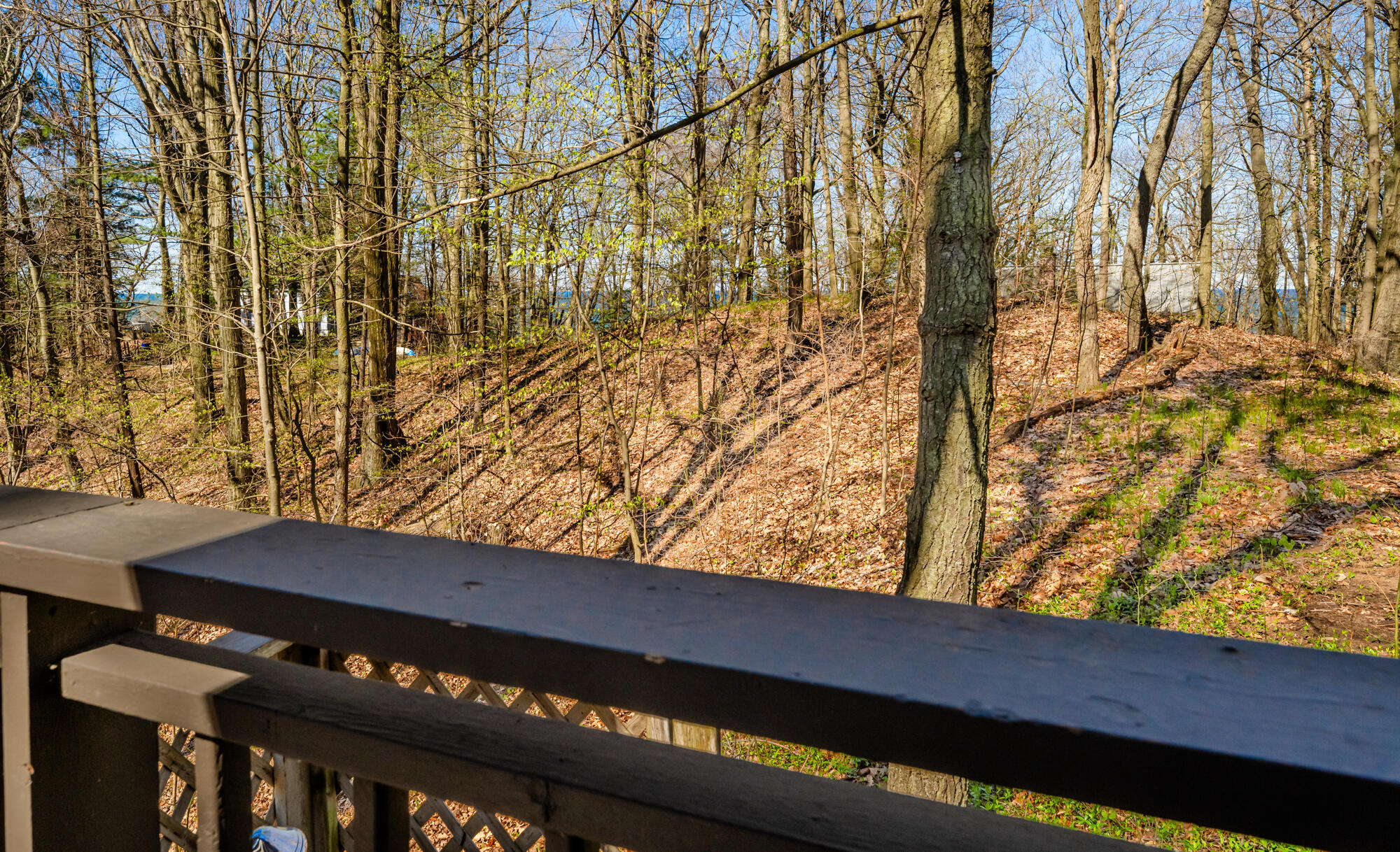 28310 Shorewood Drive Covert MI 49043