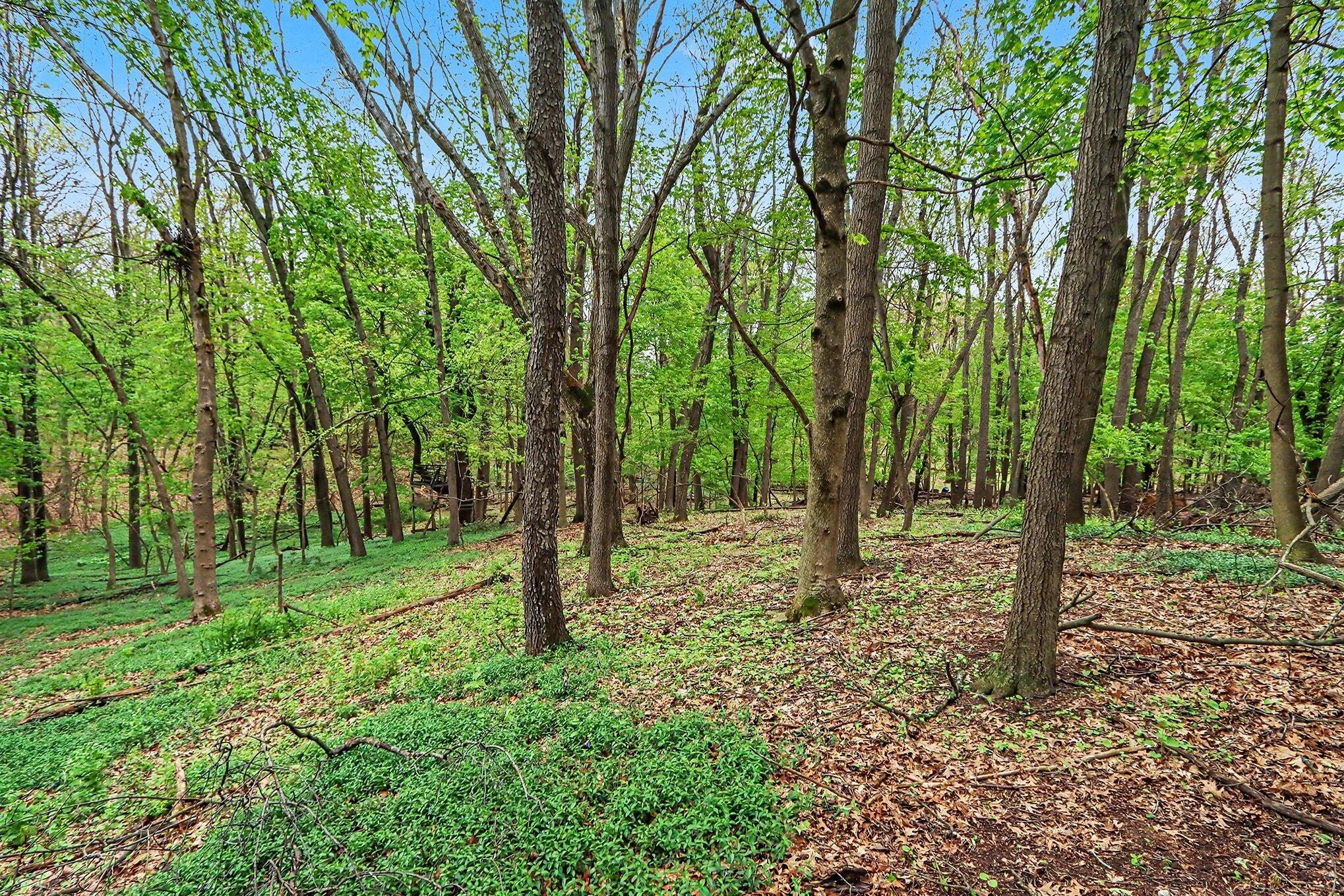 1000 Carolee Lane Kalamazoo MI 49008