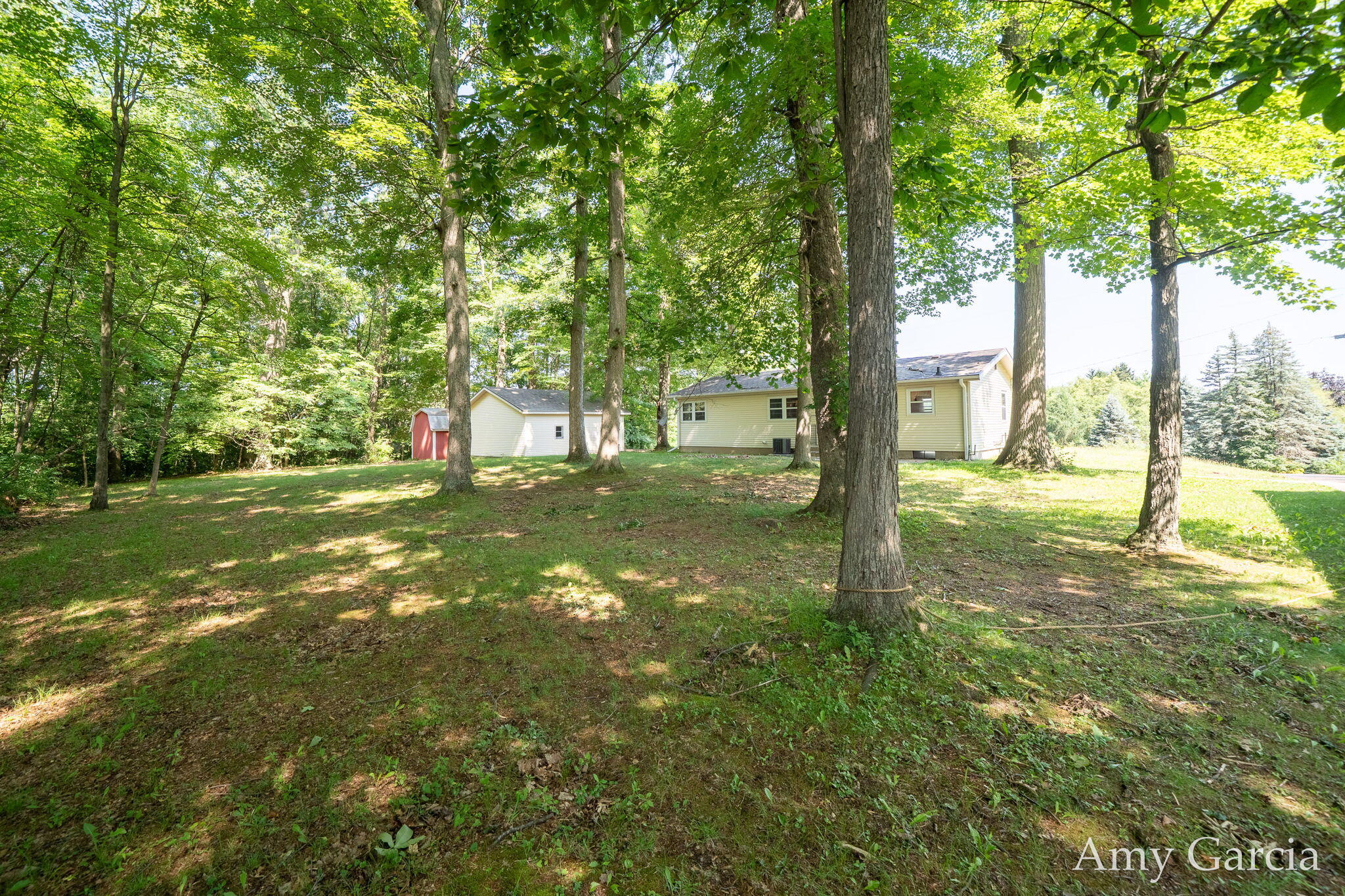 3530 11 Mile Road NE Rockford MI 49341