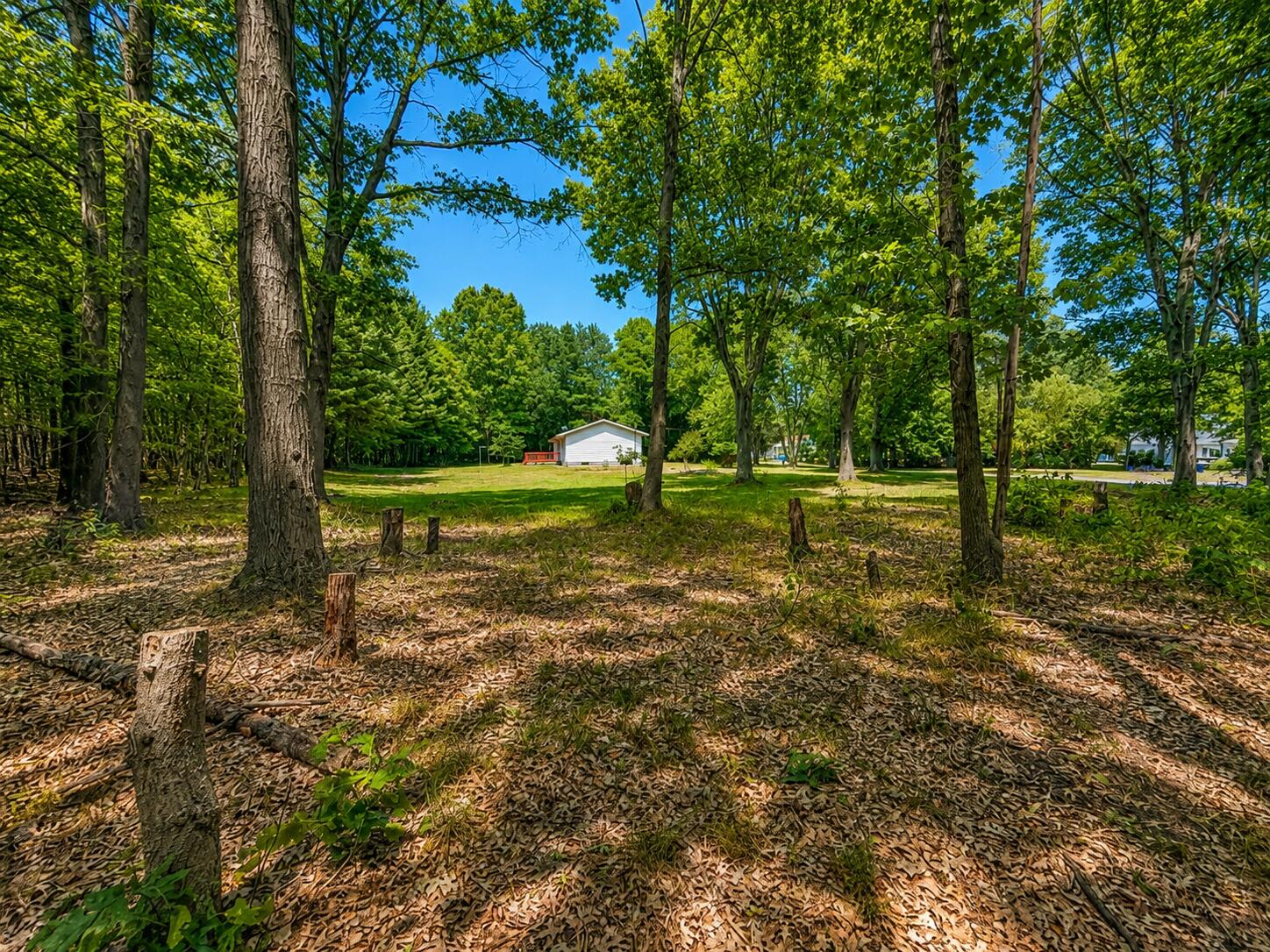 14983 Coleman Avenue Grand Haven MI 49417