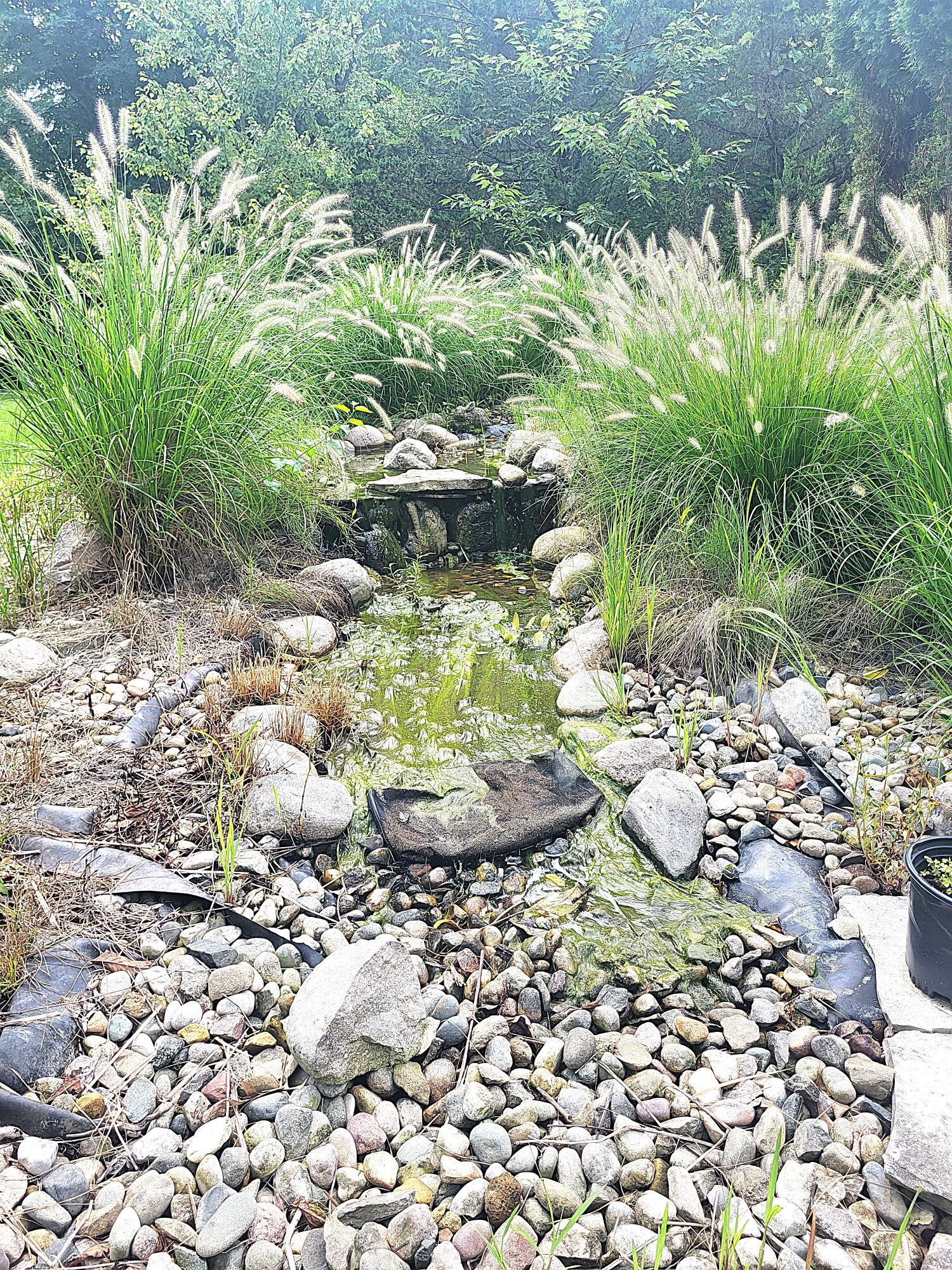 4240 Snow Road Bridgman MI 49106