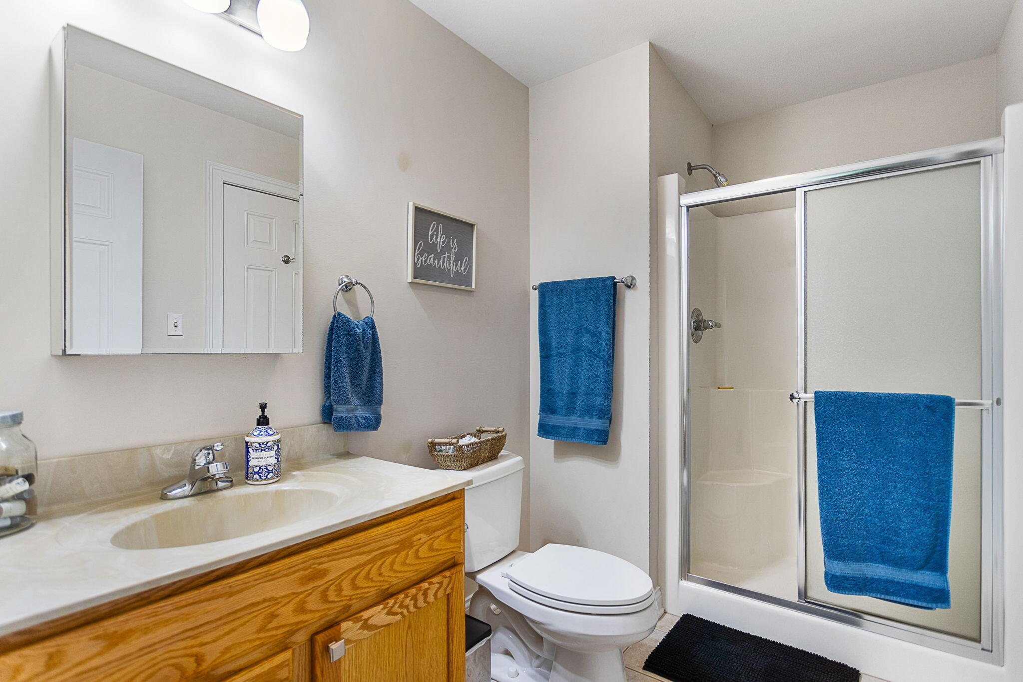 6797 Scottdale Road Berrien Springs MI 49103