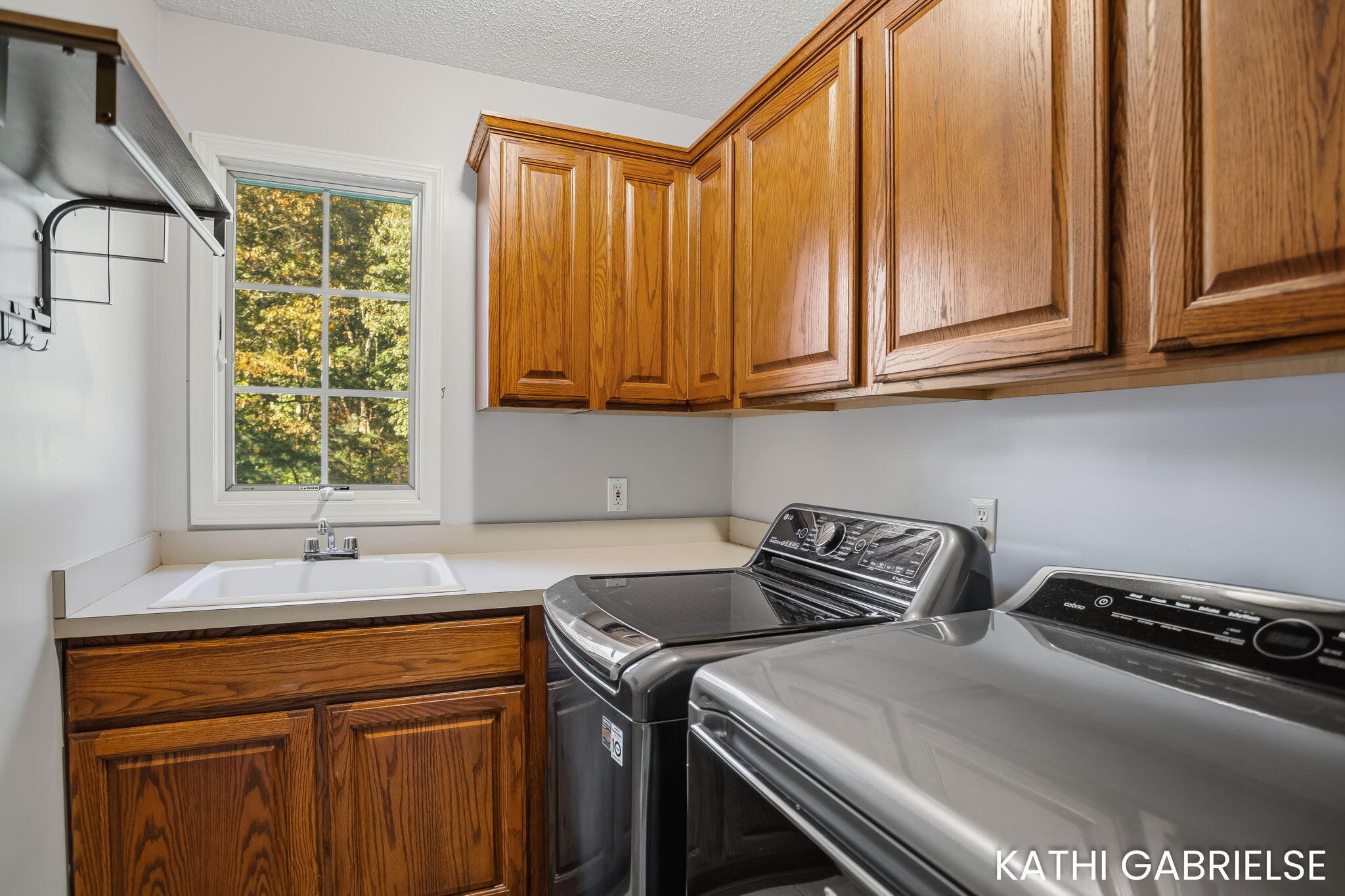 17179 Majestic Ridge West Olive MI 49460