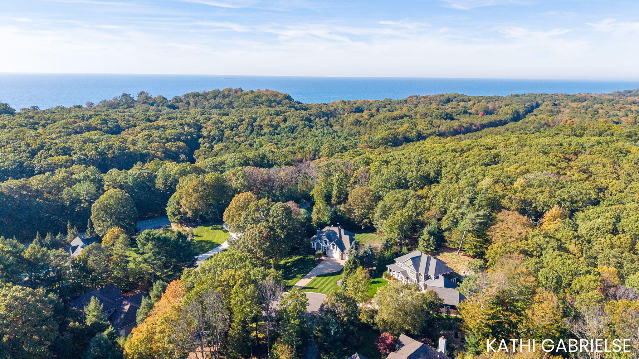 17179 Majestic Ridge West Olive MI 49460