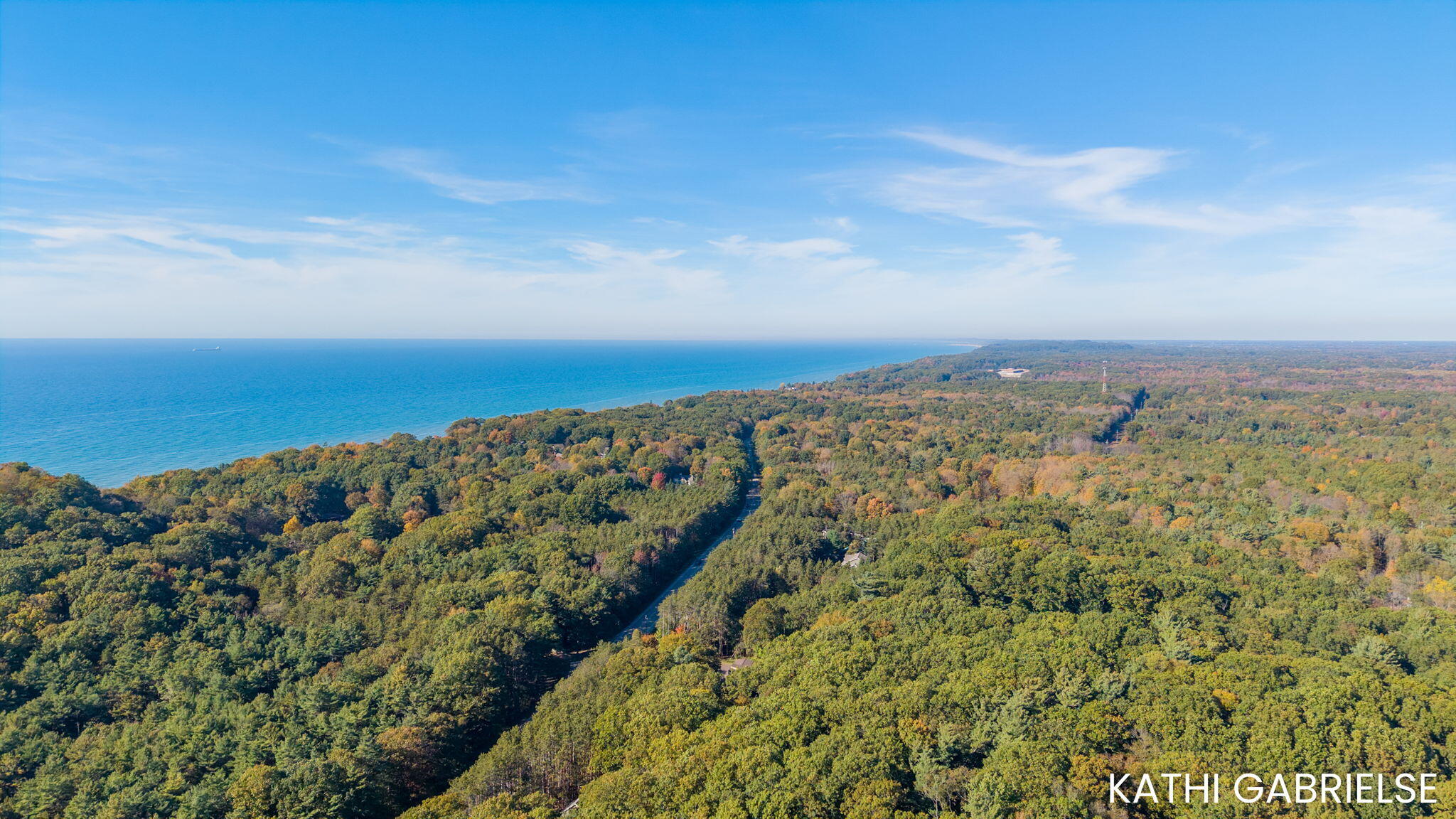 17179 Majestic Ridge West Olive MI 49460