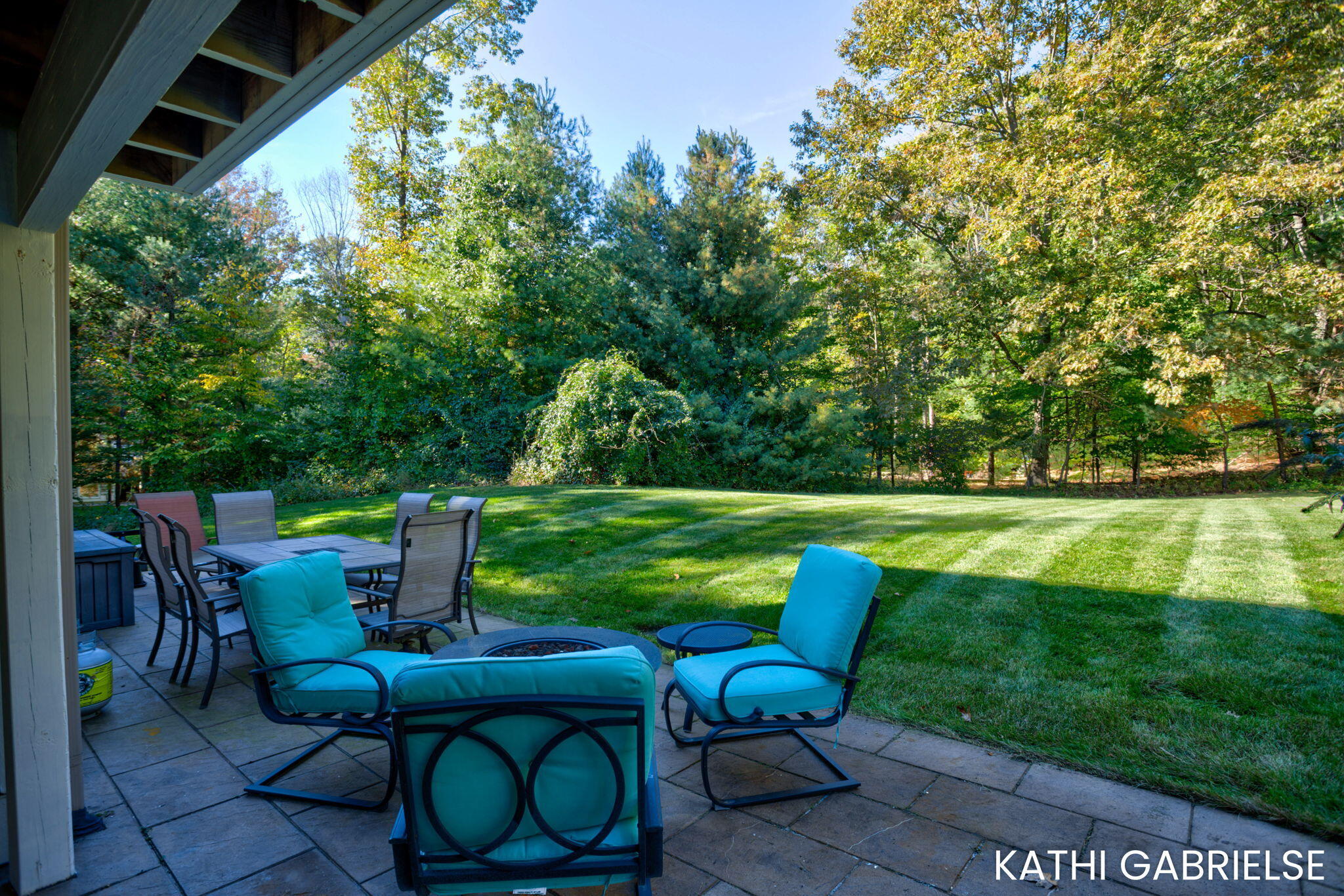 17179 Majestic Ridge West Olive MI 49460