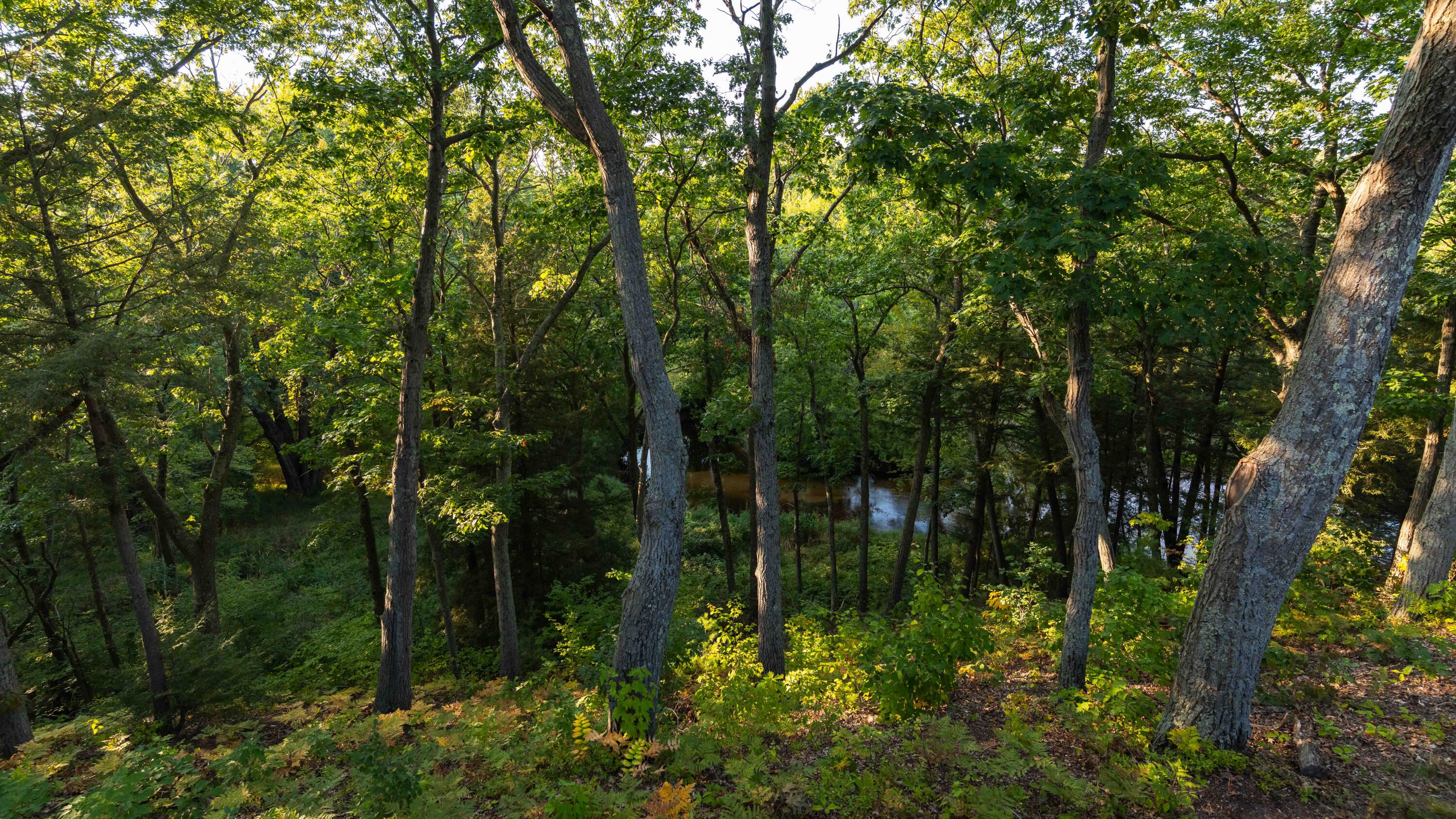 777 N Brooks Road Muskegon MI 49442