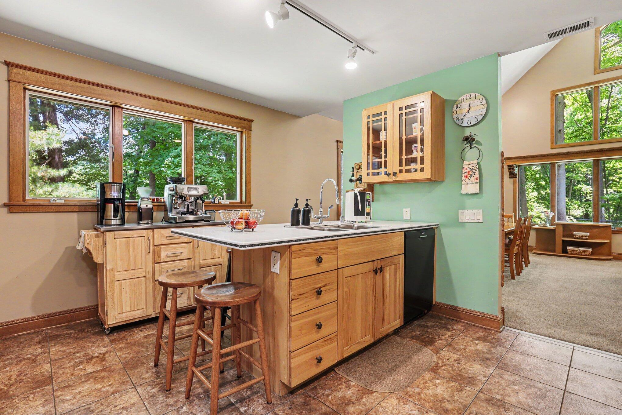 10735 Brown Lake Drive NE Rockford MI 49341