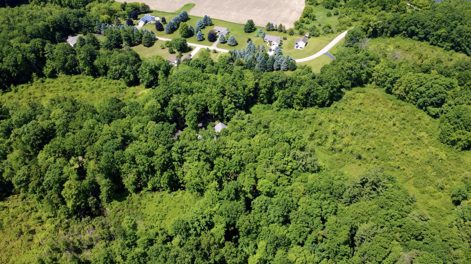 10735 Brown Lake Drive NE Rockford MI 49341