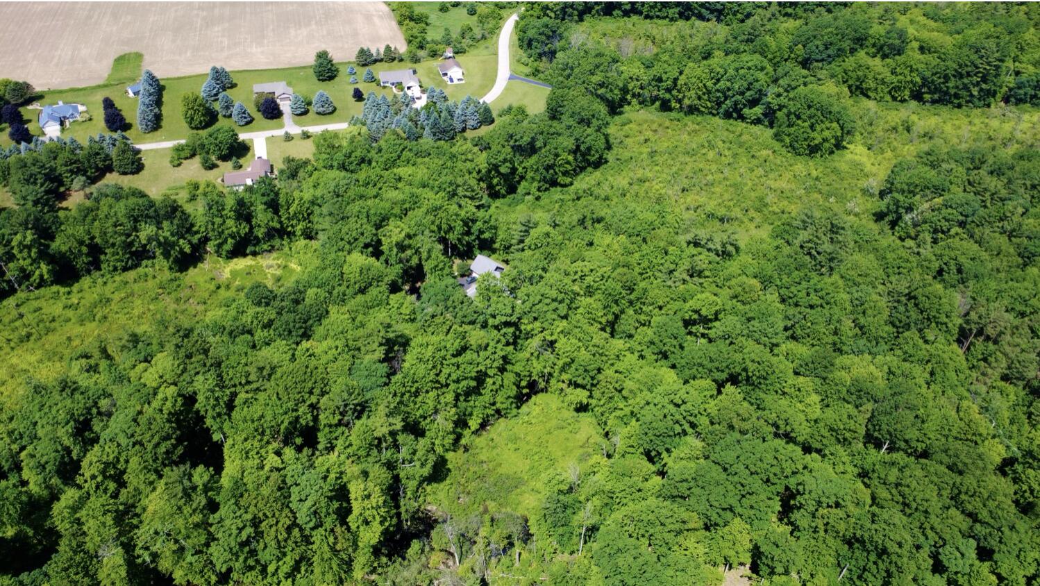 10735 Brown Lake Drive NE Rockford MI 49341