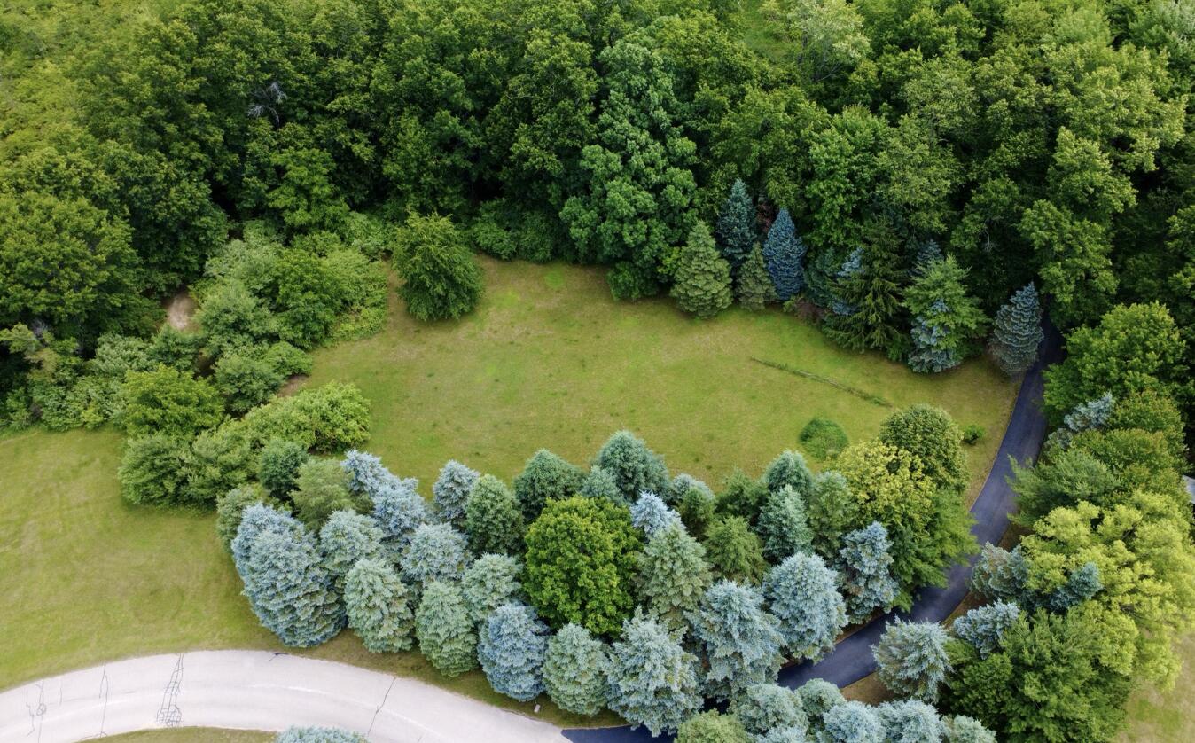 10735 Brown Lake Drive NE Rockford MI 49341