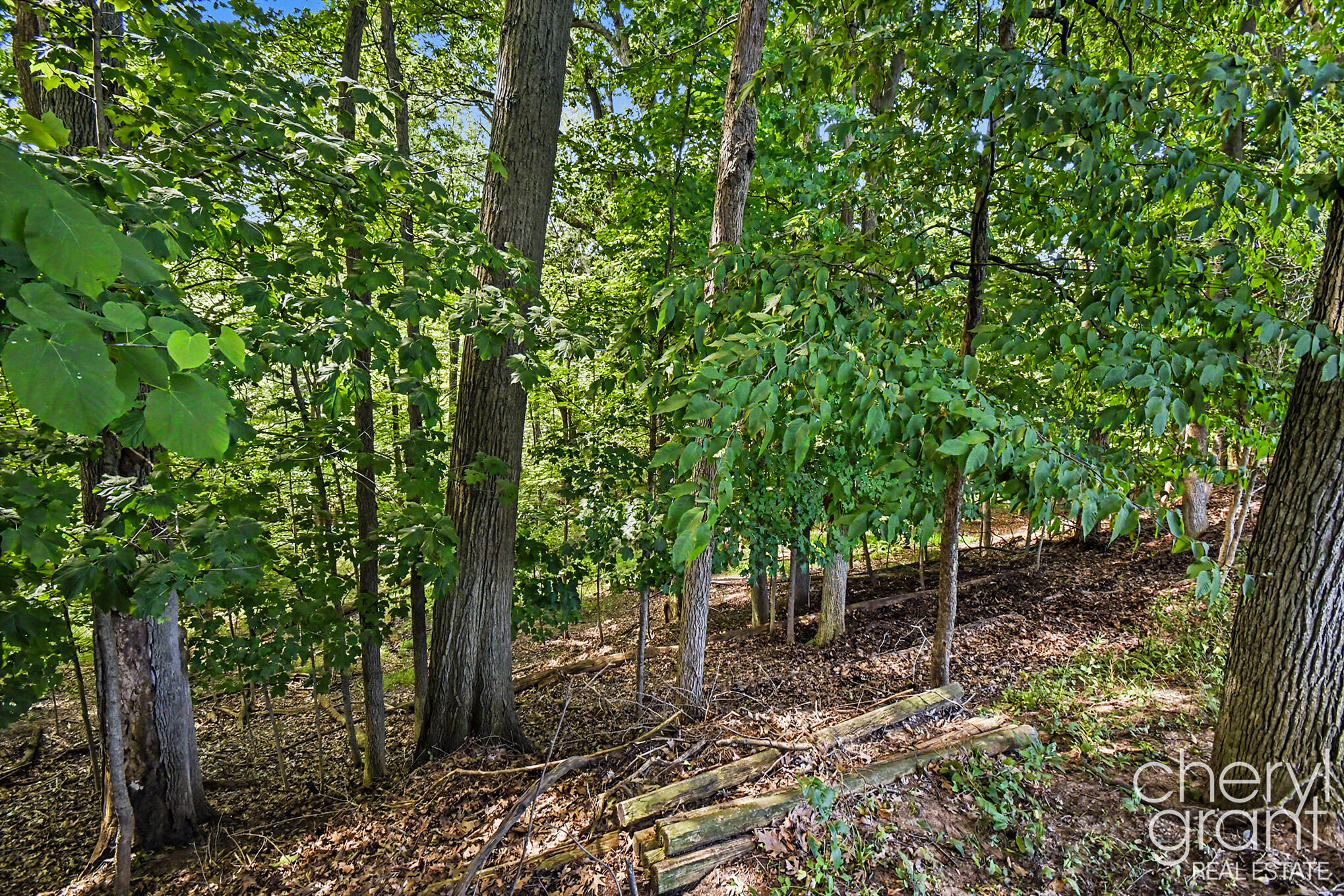 3052 Bonita Drive SE Grand Rapids MI 49508