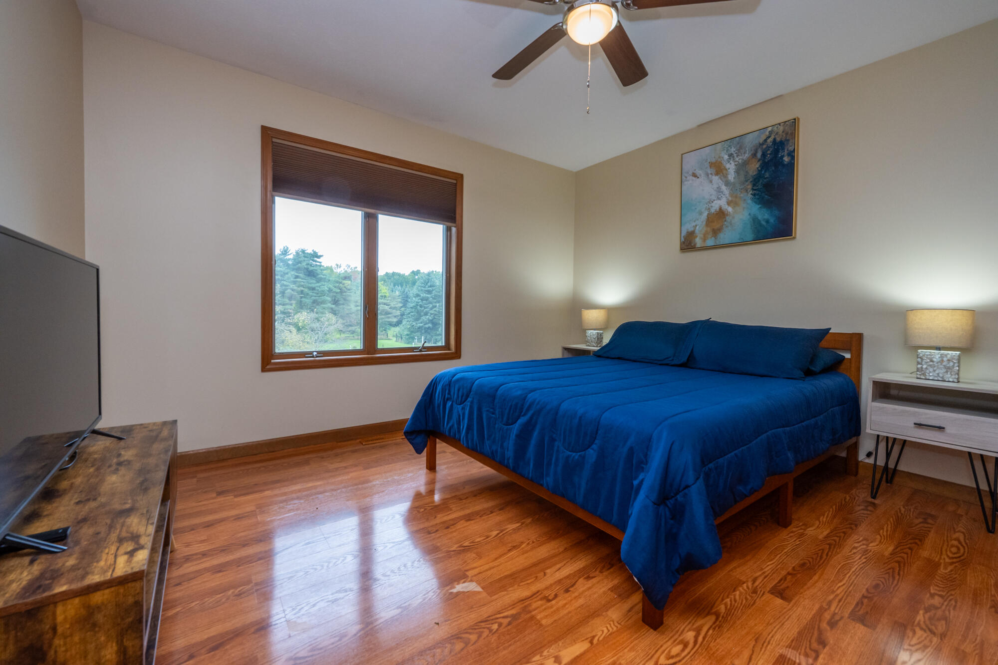 4155 Hagar Shore Road Coloma MI 49038