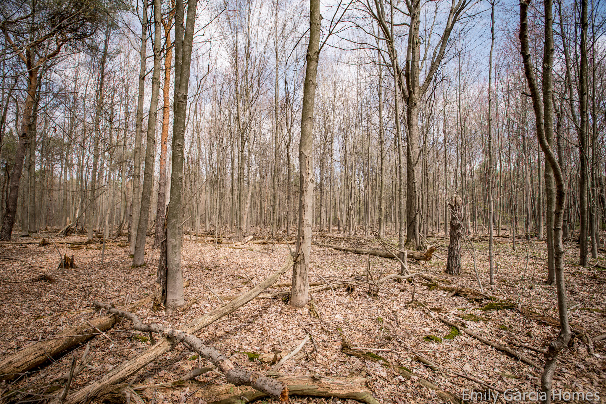 12580 Quincy Street Holland MI 49424