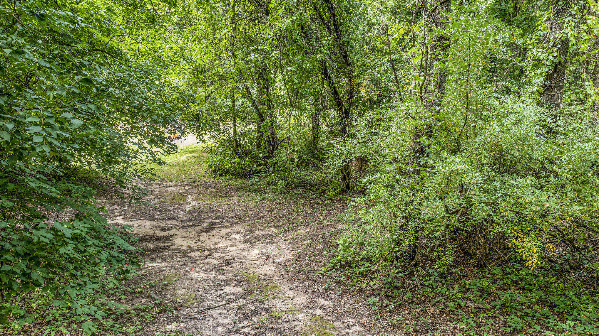 5856 Windingwood Drive Kalamazoo MI 49009