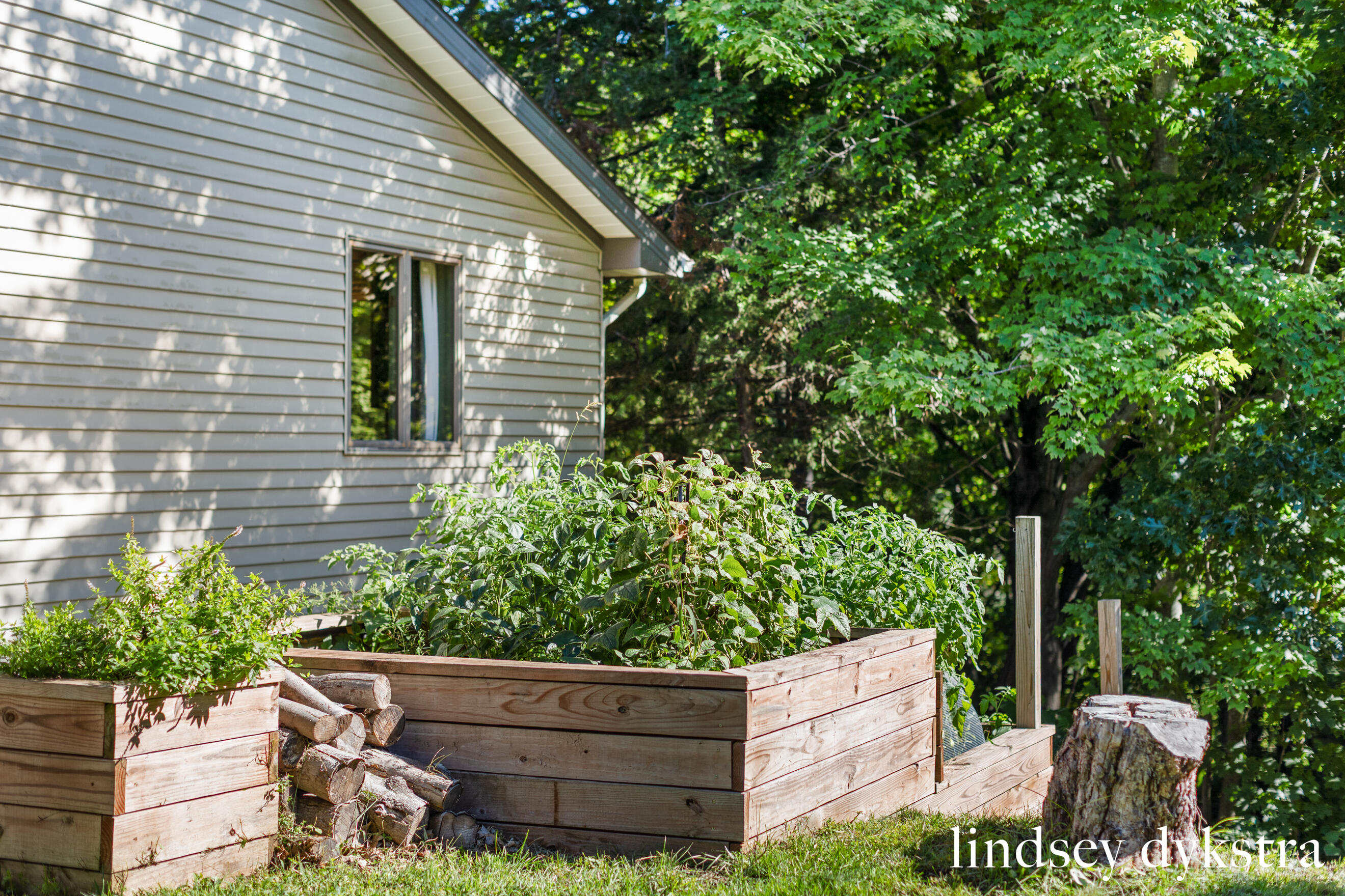 7395 Whispering Ridge Street SE Grand Rapids MI 49546