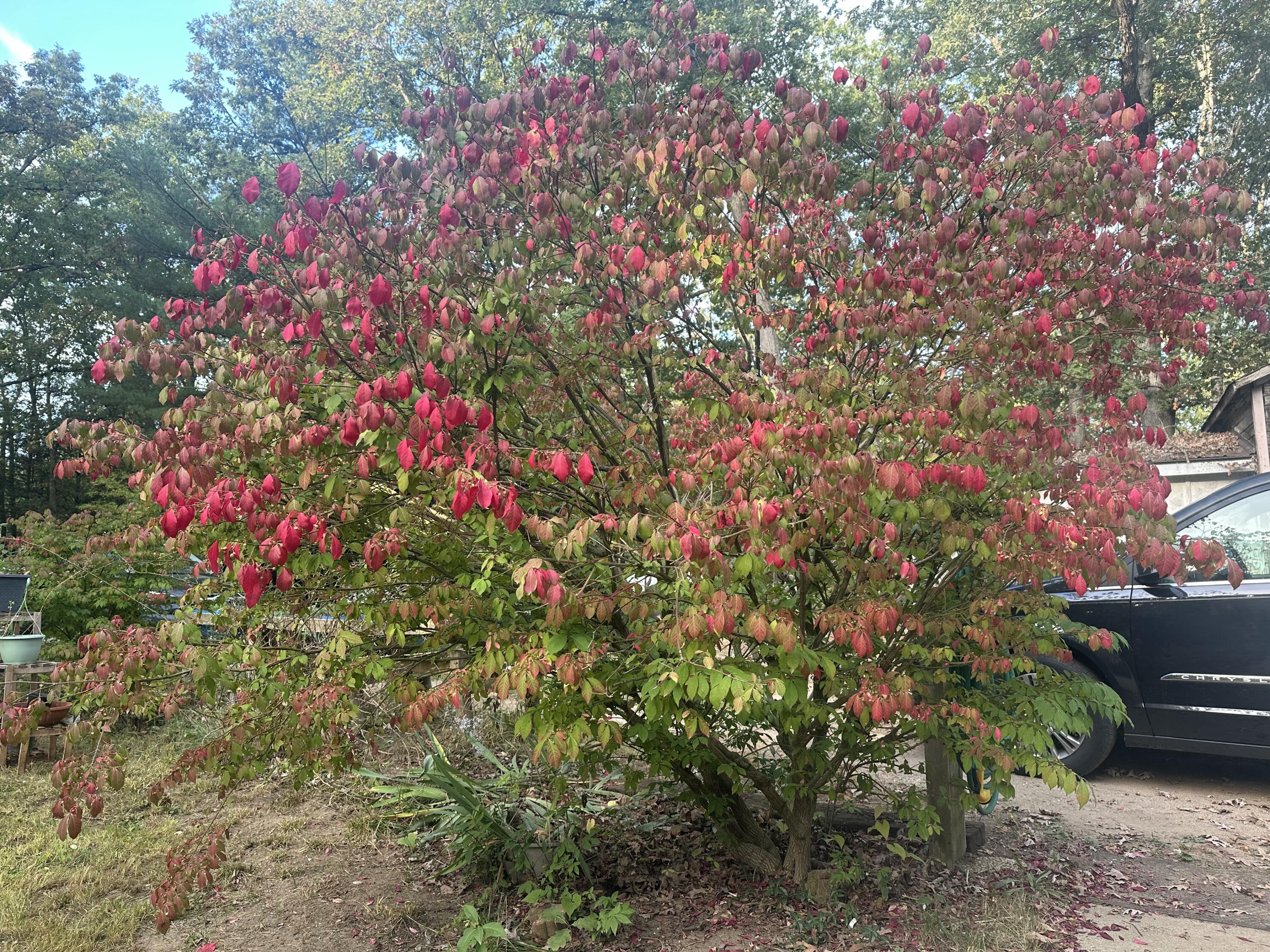 4355 117th Avenue Allegan MI 49010