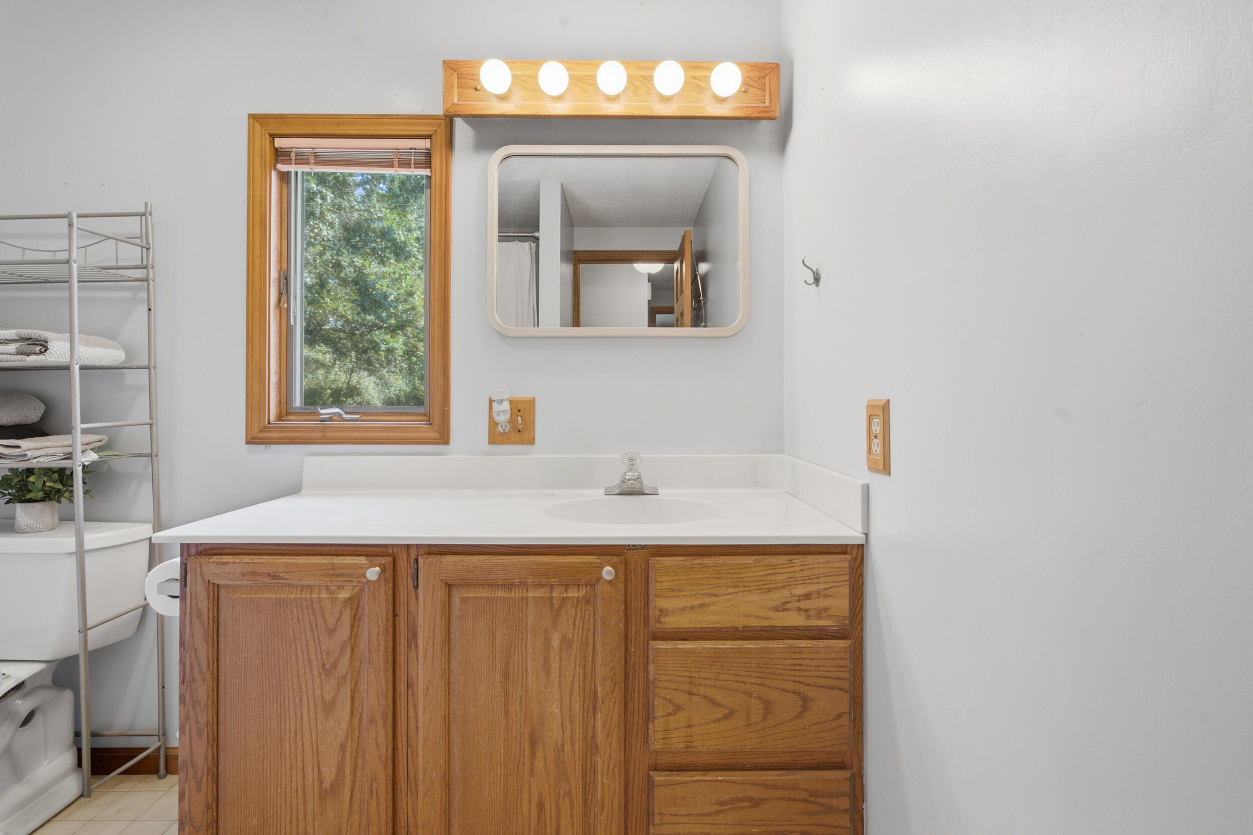 2580 Locust Lane Stevensville MI 49127