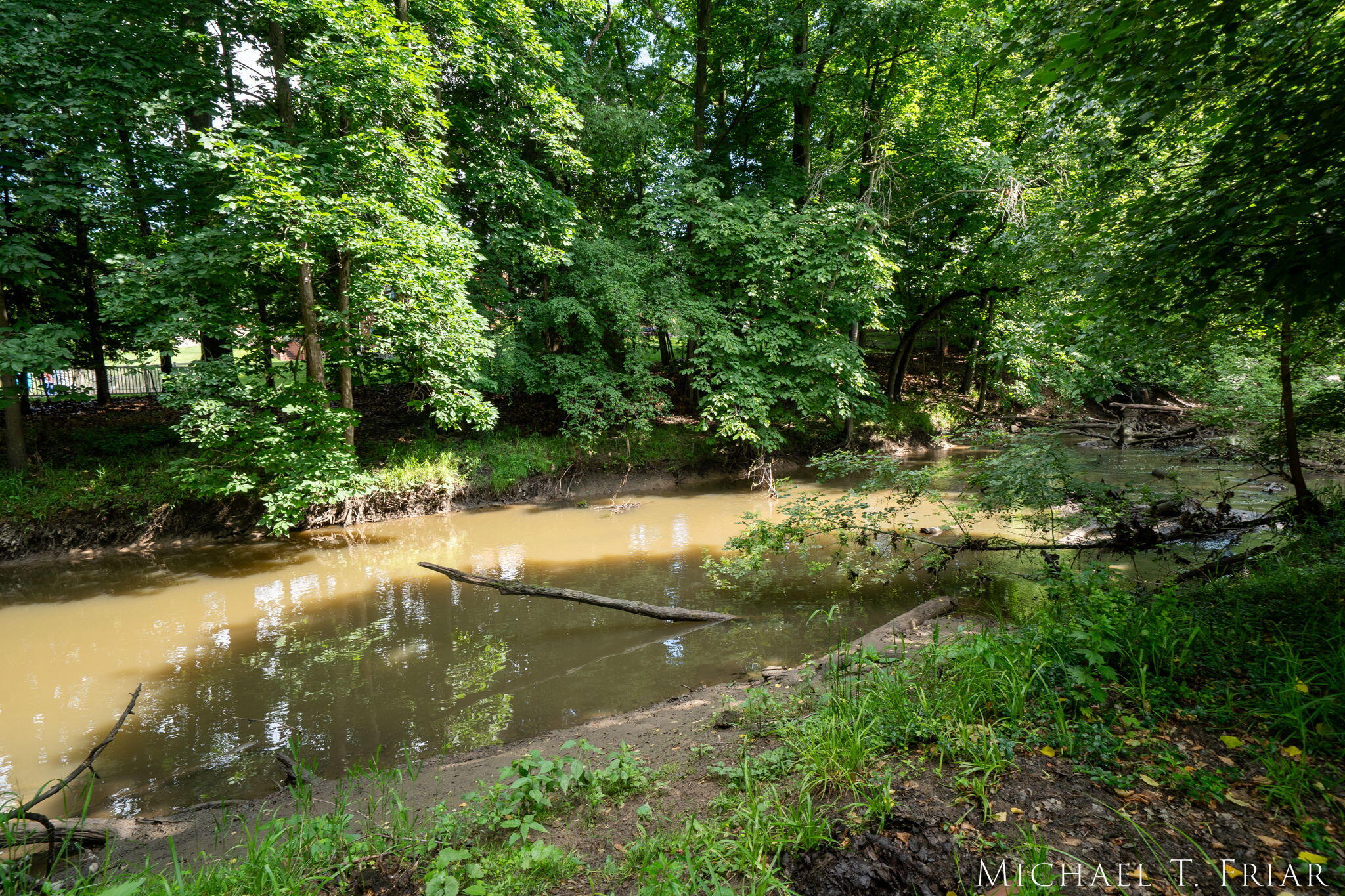 1705 Derbyshire Street SE Grand Rapids MI 49508