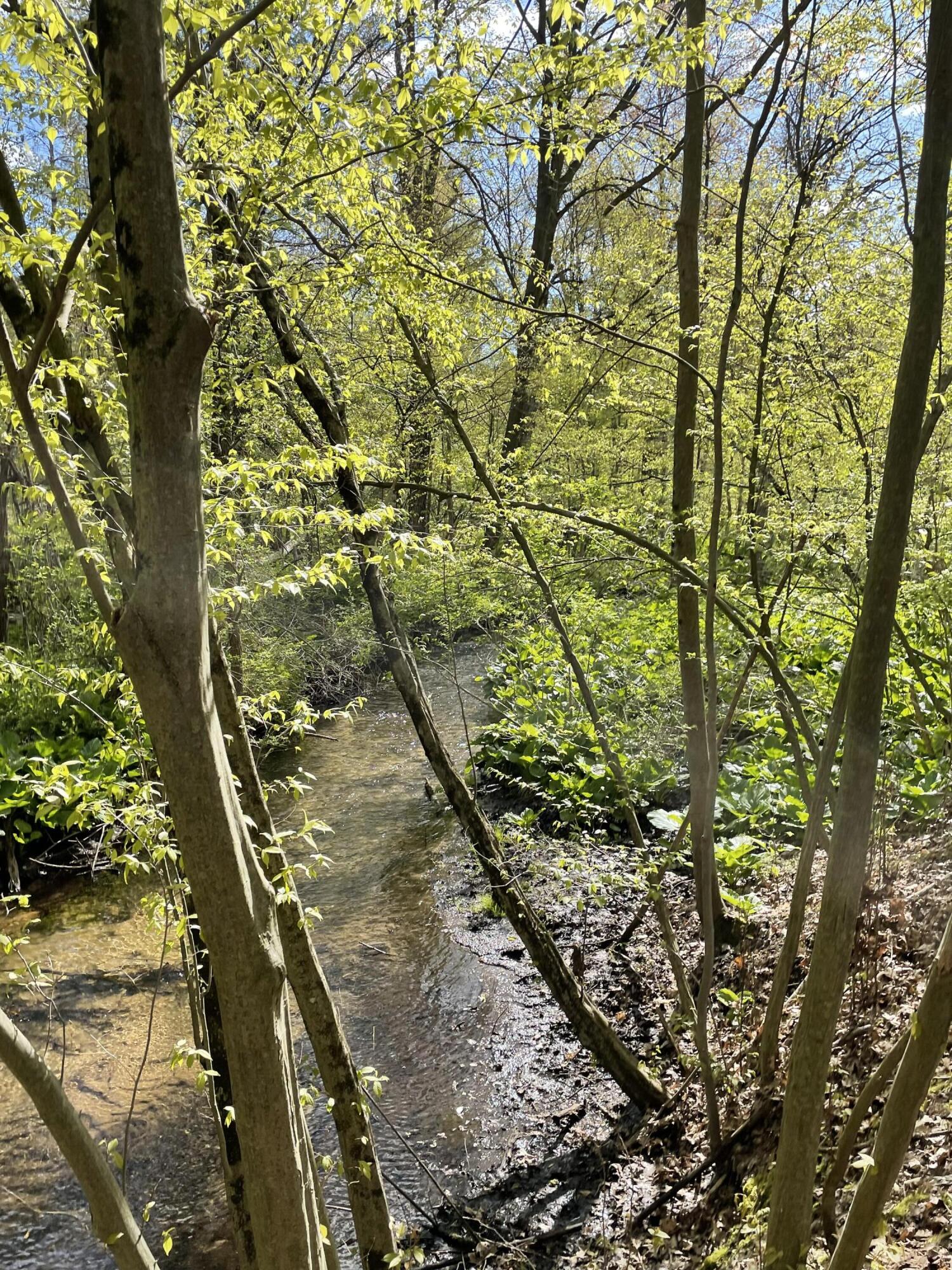 8250 Rum Creek Trail NE Rockford MI 49341