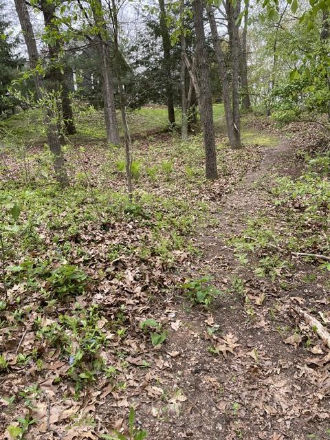 8250 Rum Creek Trail NE Rockford MI 49341
