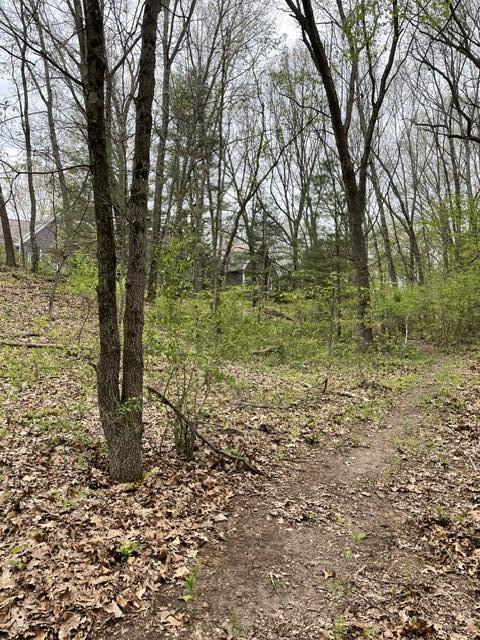 8250 Rum Creek Trail NE Rockford MI 49341