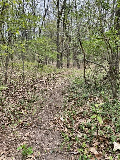 8250 Rum Creek Trail NE Rockford MI 49341