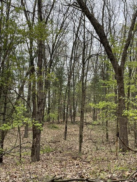 8250 Rum Creek Trail NE Rockford MI 49341