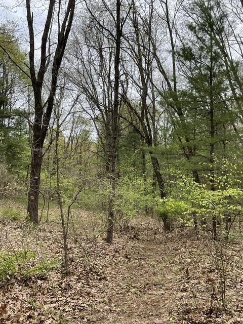8250 Rum Creek Trail NE Rockford MI 49341