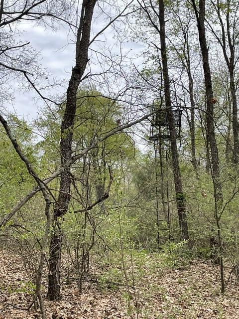 8250 Rum Creek Trail NE Rockford MI 49341