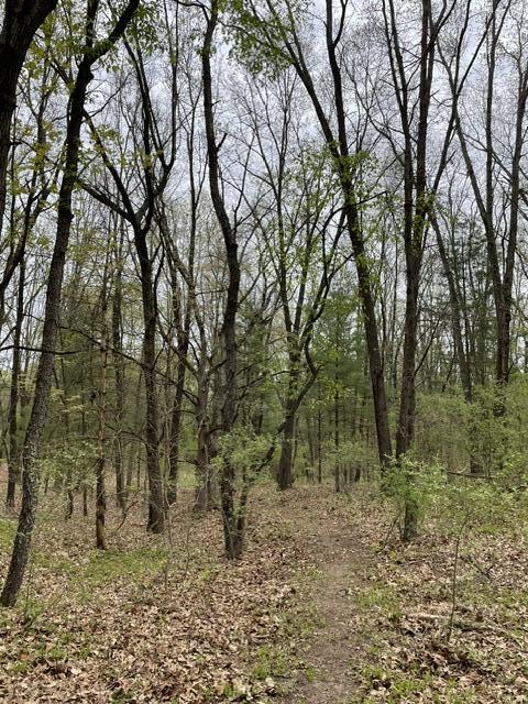 8250 Rum Creek Trail NE Rockford MI 49341