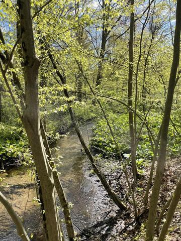 8250 Rum Creek Trail NE Rockford MI 49341