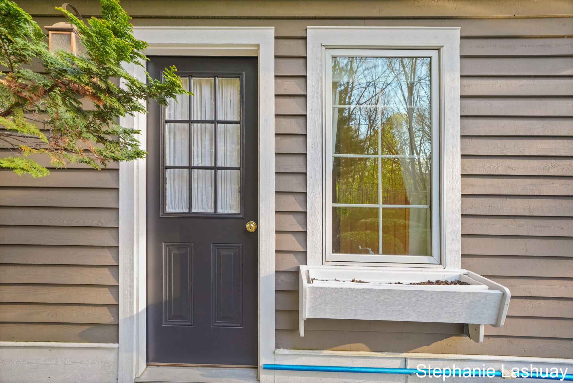 8250 Rum Creek Trail NE Rockford MI 49341