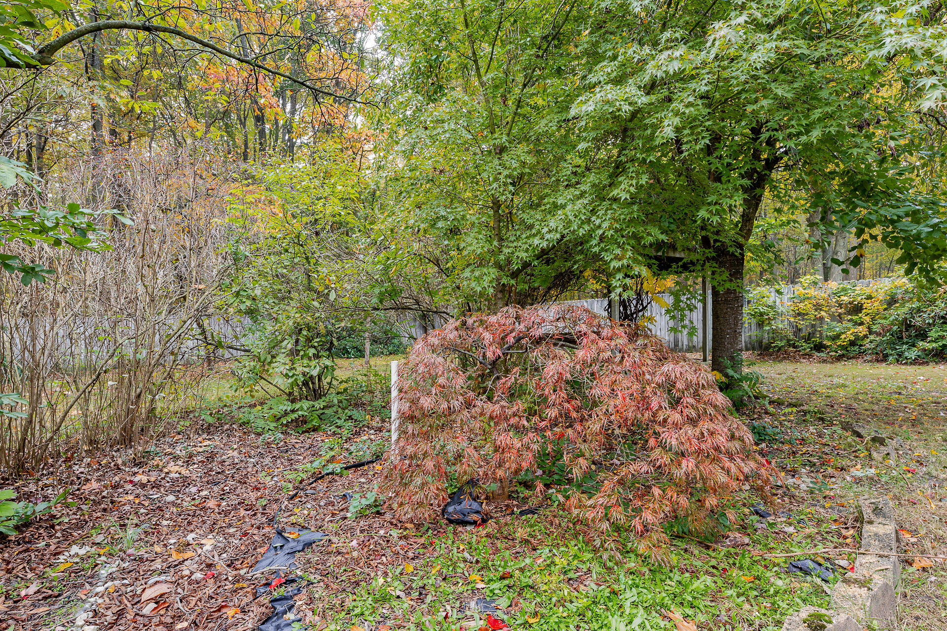 3453 Sheringer Road Muskegon MI 49444
