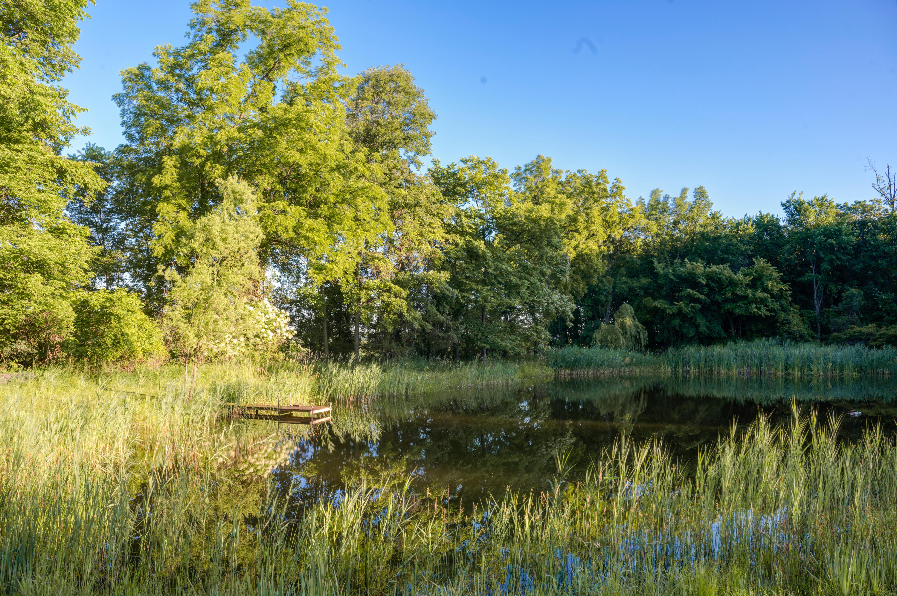 5665 W Phillips Road Three Oaks MI 49128