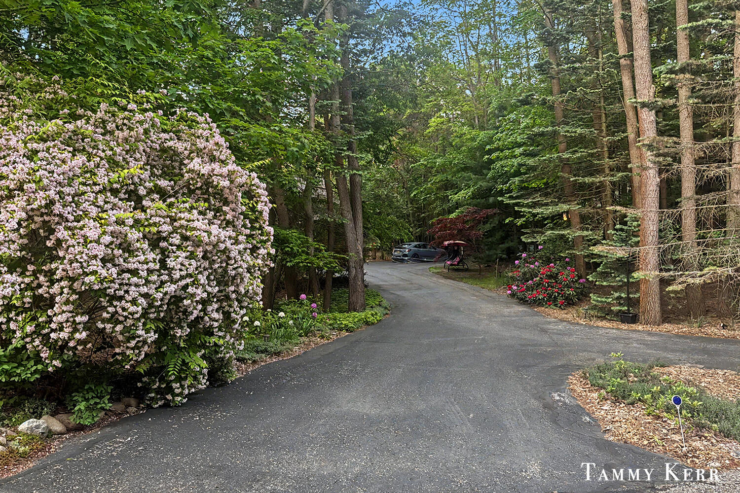 2339 Forest Trail Circle Fennville MI 49408