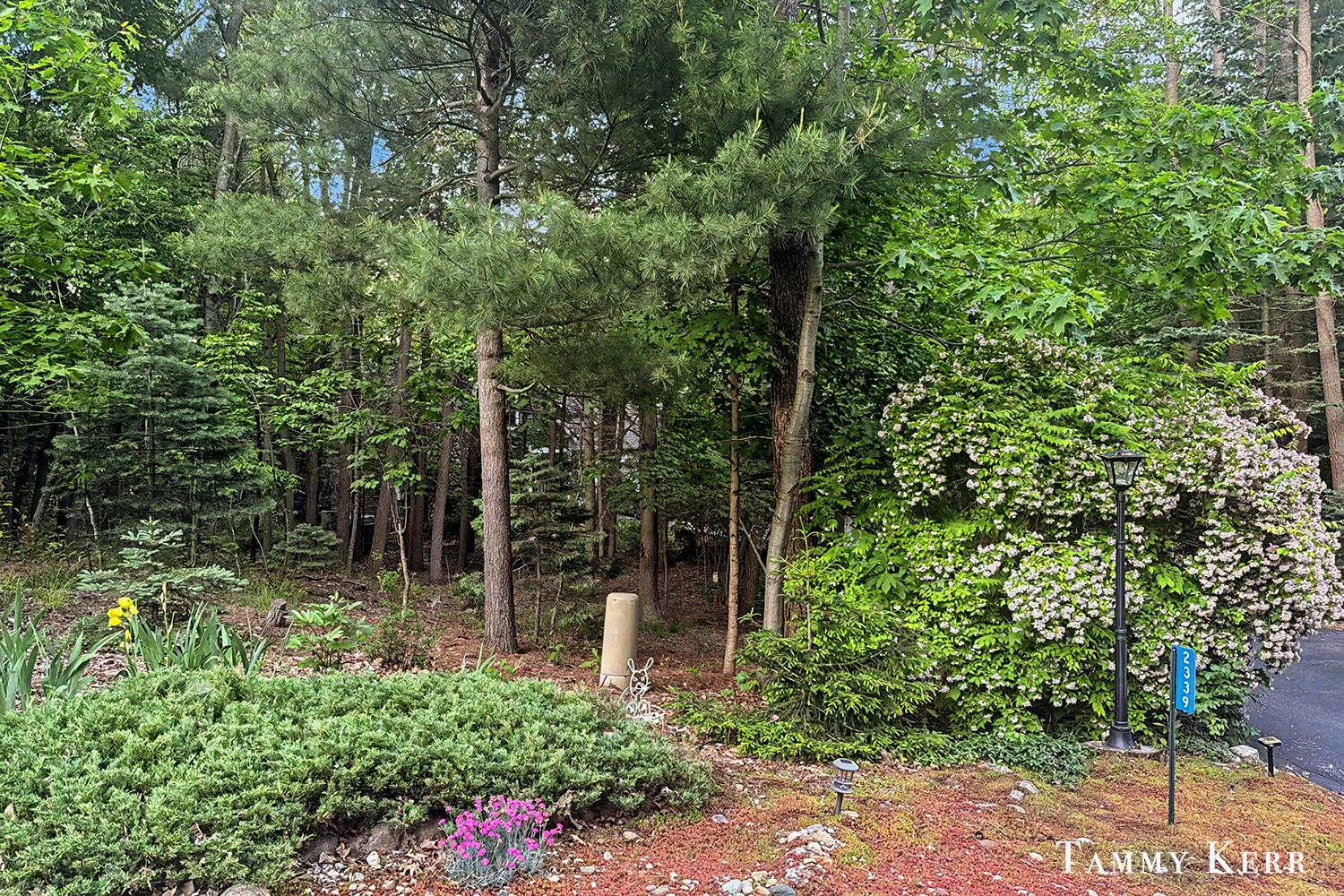 2339 Forest Trail Circle Fennville MI 49408