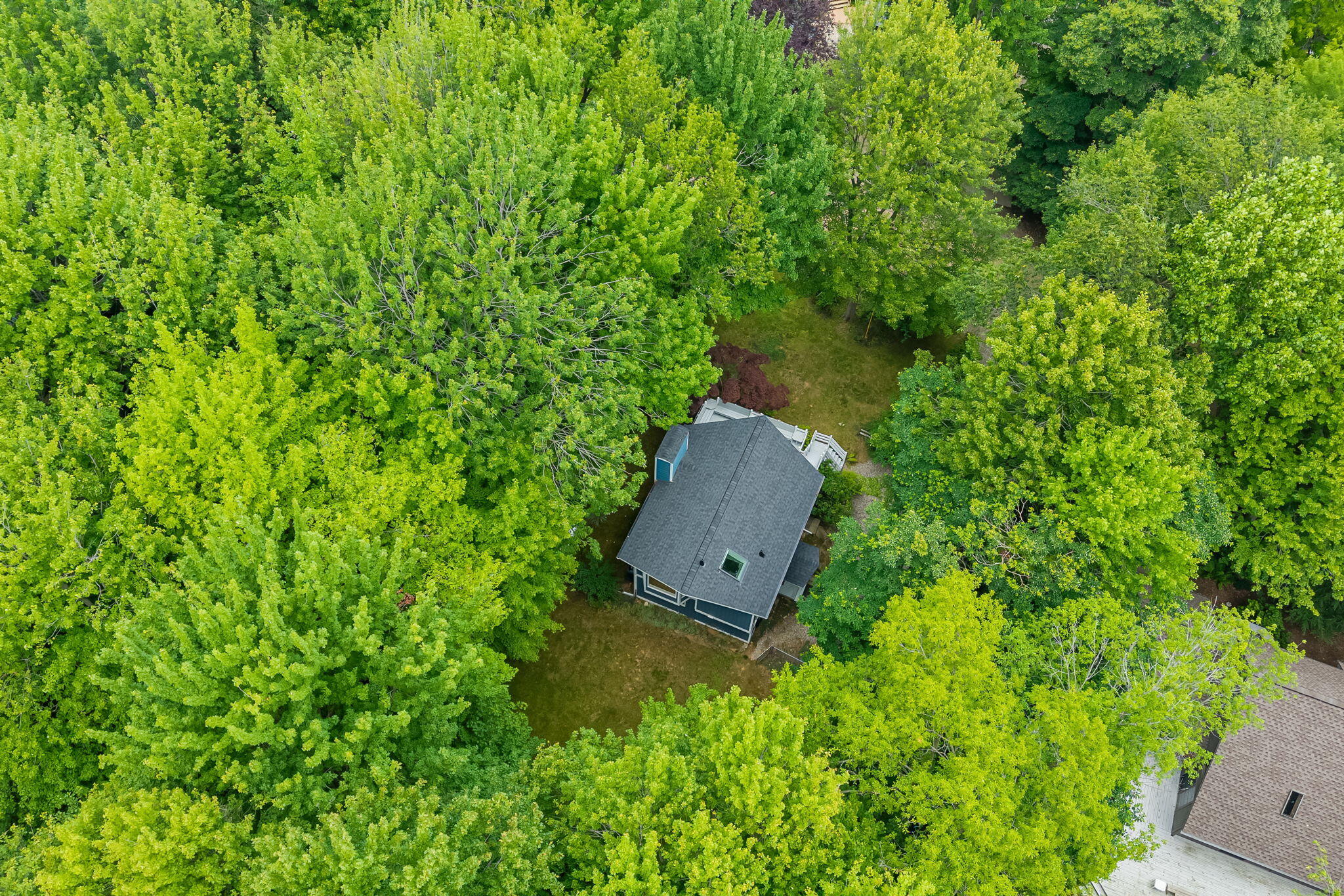 7126 Ridgeway Street Fennville MI 49408