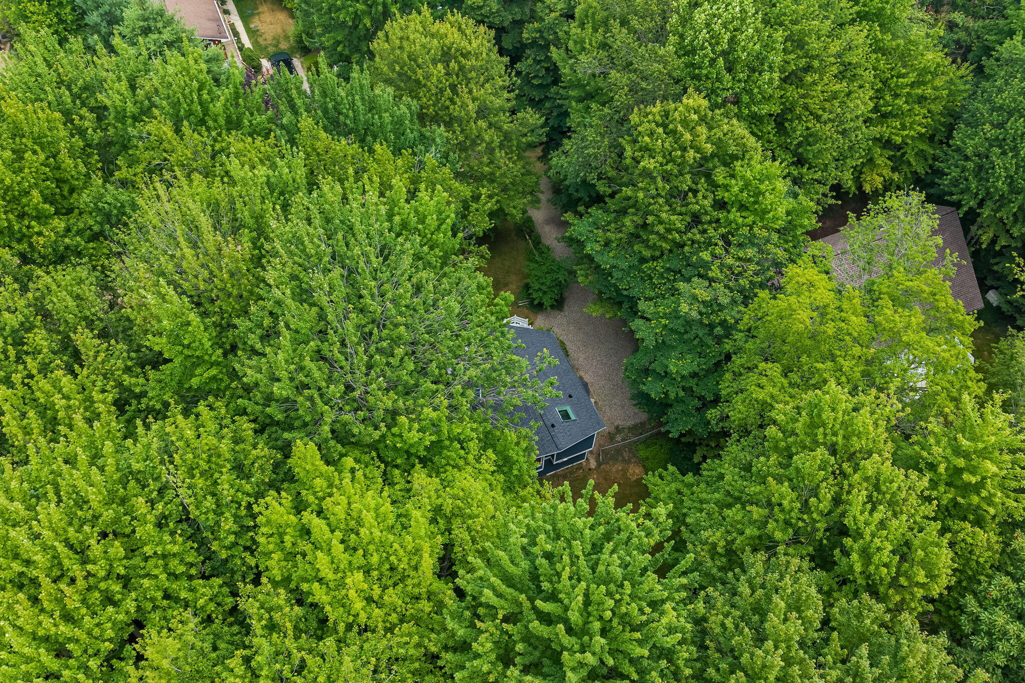 7126 Ridgeway Street Fennville MI 49408