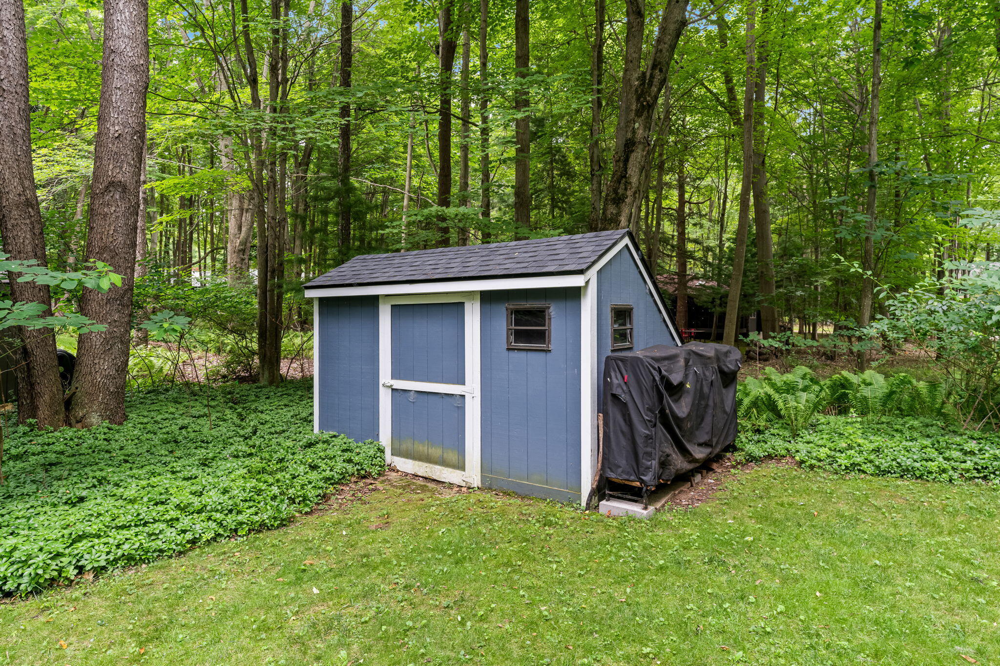 7126 Ridgeway Street Fennville MI 49408