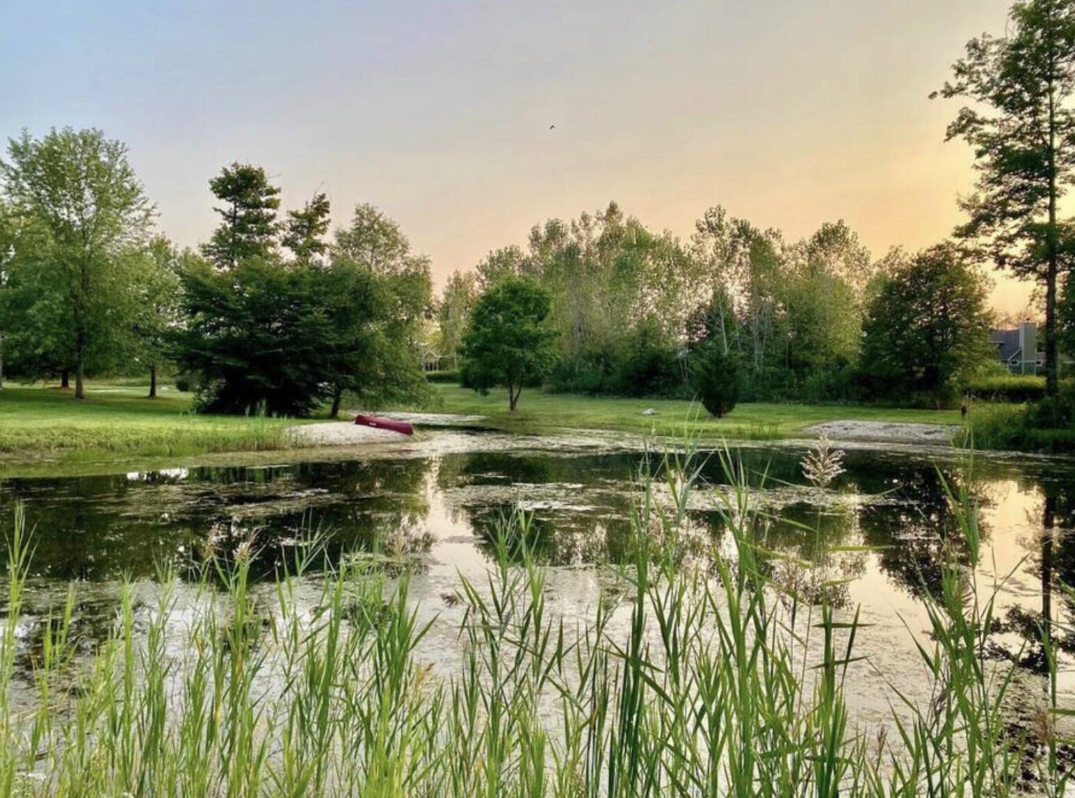 5553 Hidden Pond Lane Sawyer MI 49125