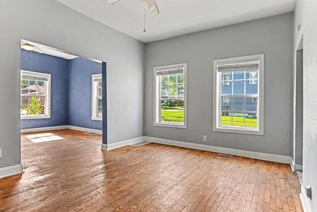 210 Days Avenue Buchanan MI 49107
