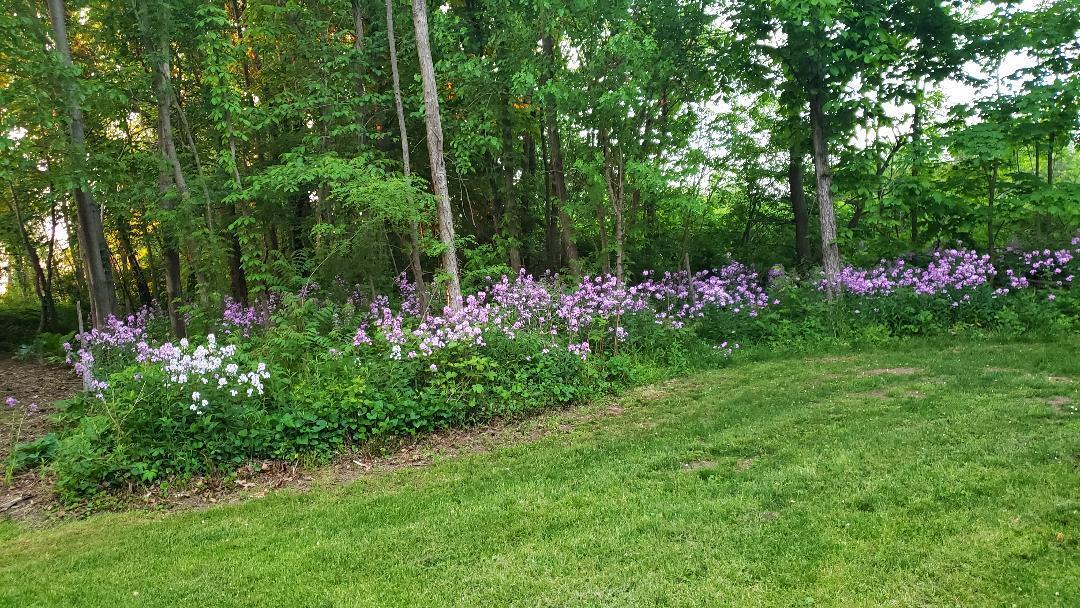 63062 Lakeshore Drive Dowagiac MI 49047
